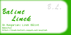 balint linek business card